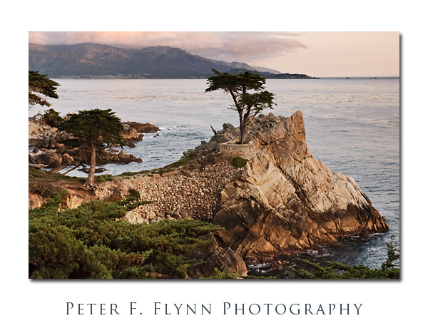 Cyprus Point
