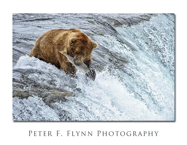 Brooks Falls, Katmai National Park, AK